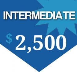 INTERMEDIATE Standard web site package with every day online marketing tools